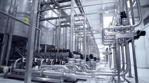 10人智能工厂革新上海奶业，人工智能数据平台打造市民“奶罐子”新标杆